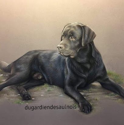 Elevage Du Gardien Des Aulnois, Éleveur De Chiens à Senones