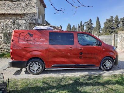 SARL CAT ET CHRIS, Pension pour Chiens à Plan D Orgon