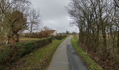 Elevage du Domaine de Gaillard, Eleveur de Chiens à Villegouin