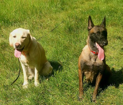 Breitz Cyno Pro, Dresseur de Chiens à Pipriac