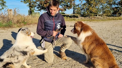 Educateur Canin - Dressage - Socialisation - Comportementaliste -, Dresseur de Chiens à Yolet