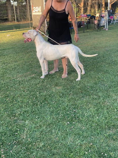 Los Perros De La Familia Éleveur De Chiens à Nîmes