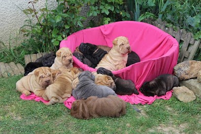 Du Royaume Des Samourais, Eleveur de Chiens à Saint-Pathus