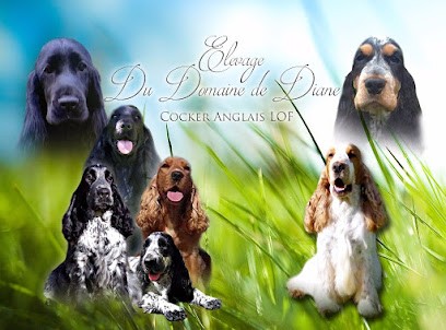 Élevage du Domaine de Diane, Eleveur de Chiens à Saint-Paul-du-Vernay