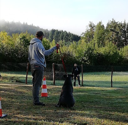 Centre canin Les gardiens du Livradois, Eleveur de Chiens à Olliergues