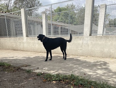 Chenil Bellevue, Pension pour Chiens à Mérignac