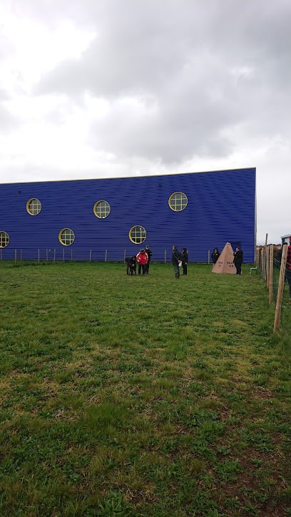 Club Des Amis Du Chien Du Forez - CACDF, Dresseur de Chiens à Chambéon