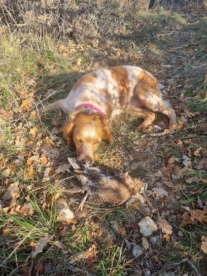 Le Mas de la Meule, Eleveur de Chiens à Lançon-Provence