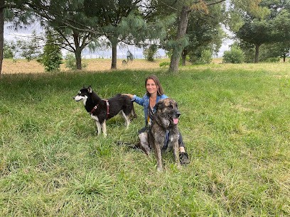 Sérénité Canine 37 - Éducatrice canin, Dresseur de Chiens à Tours