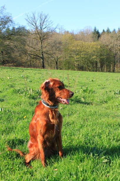 François Leveneur, Eleveur de Chiens à Saint-Paul