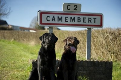 LES BORIES DE YAKOUBIA, Eleveur de Chiens à Camembert