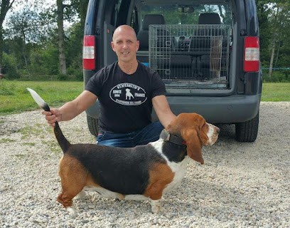 Staffanatic Services - Reprod. Chien de race, Eleveur de Chiens à Arthezé
