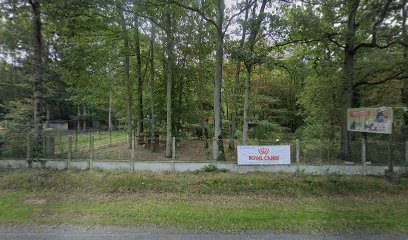 Tragin Virginie, Pension pour Chiens à Champseru