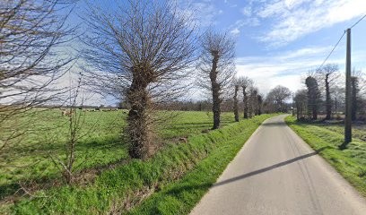pension de langonan, Pension pour Chiens à Pleugriffet