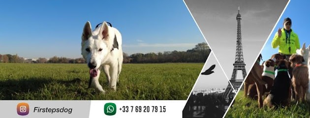 Firsteps Dog, Dresseur de Chiens à Paris