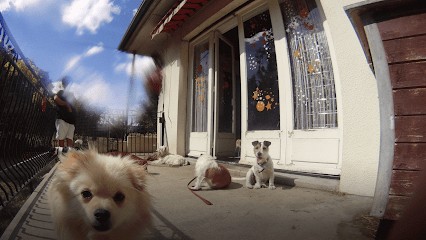 SERVICE CANIN, Pension pour Chiens à Gouvieux