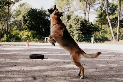 Ethique Animale Services - Chenil Rossi, Pension pour Chiens à Fuveau