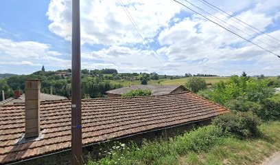 La Patte Tendue, Dresseur de Chiens à Saint-Martin-en-Haut