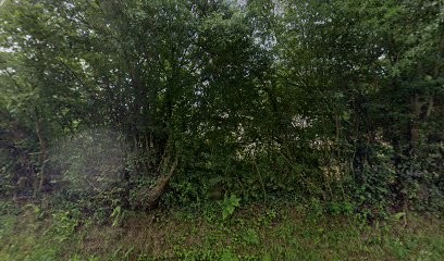 Elevage du domaine de Tolah, Eleveur de Chiens au Molay-Littry