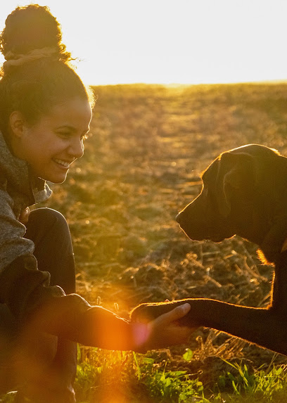 Autrement Canin - Educateur Comportementaliste Canin, Dresseur De Chiens à Verneuil-sur-Seine