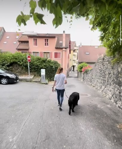 Les P'tites Biches, Dresseur de Chiens à Saint-Pierre-en-Faucigny