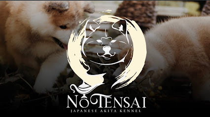 Élevage D'akita Inu - No Tensai, Éleveur De Chiens à Uzemain