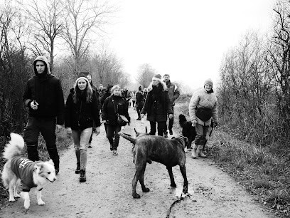 Aurélie Frérou, Eduka'chien, Dresseur de Chiens à Vallons-de-l'Erdre