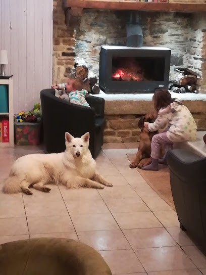 Au Nid Douillet, Pension pour Chiens à Edern