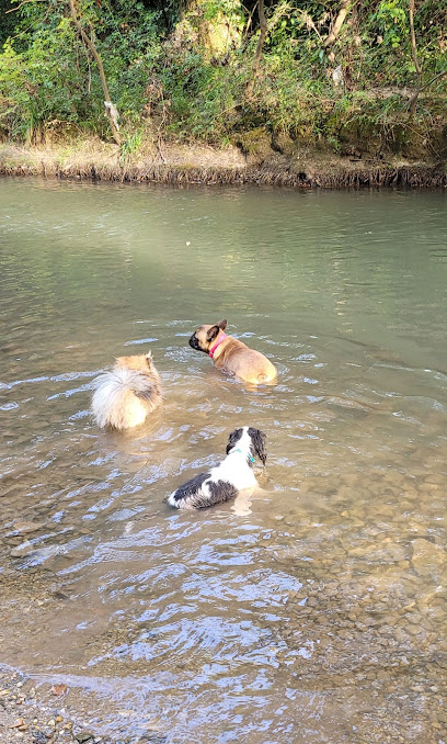 Elevage Du Clan Des Boulapat Éleveur De Chiens à Bouc-Bel-Air