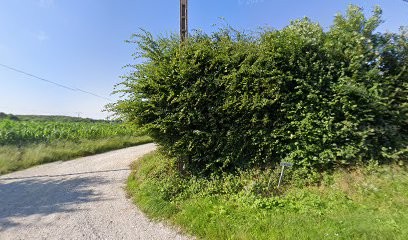 Eternels Charmeurs, Eleveur de Chiens à Laleu