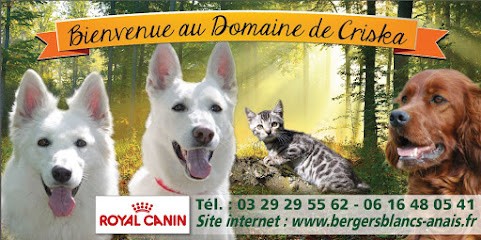 Domaine de criska, Eleveur de Chiens à Bellefontaine