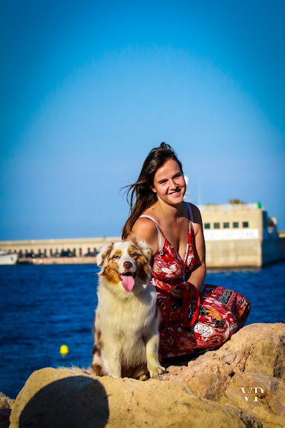 Edem Dog _ Éducatrice Comportementaliste Canine, Dresseur De Chiens à Beausoleil