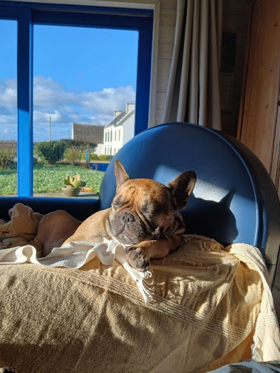 Ti Ki Pension Pour Petits Chiens Pension Pour Chien à Cléden-Cap-Sizun