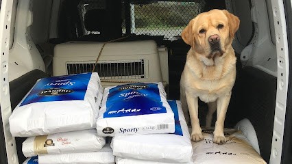 Sylvie Ducret Comportementaliste, Dresseur de Chiens à Schiltigheim