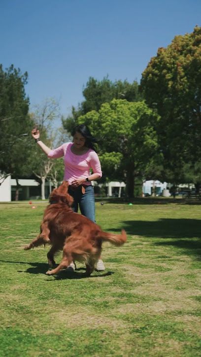Artes Coaching Canin, Dresseur De Chiens à Perrigny-sur-Loire
