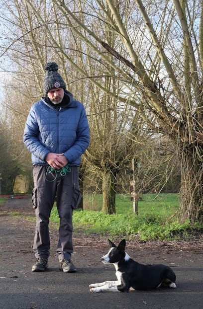 Mike & Dogs Educateur Et Comportementaliste Canin, Dresseur de Chiens à Marchiennes