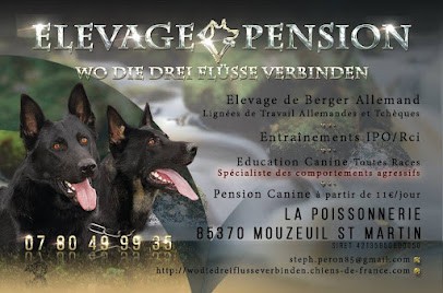 Pension Canine Sud Vendée, Pension pour Chiens à Mouzeuil-Saint-Martin