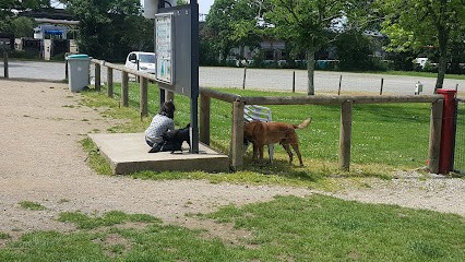 Club Canin Vannetais, Dresseur de Chiens à Theix-Noyalo