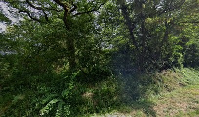 Sarah Gautier Educateur Canin, Dresseur de Chiens à Maisonnais