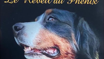 Le Réveil Du Phénix, Pension pour Chiens à Méry-sur-Cher