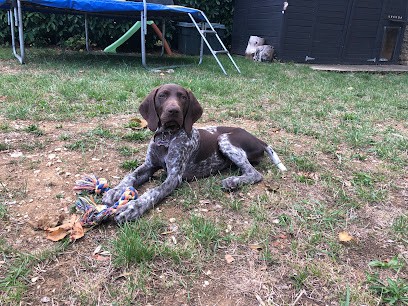 Elevage Du Val De Cèze, Eleveur de Chiens à Cornillon