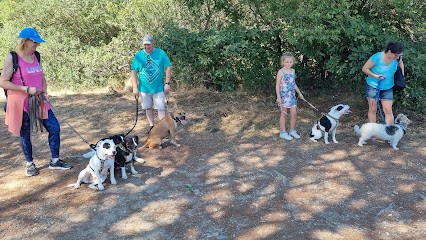 Zephyr Academie, Dresseur de Chiens à Villeneuve-Tolosane
