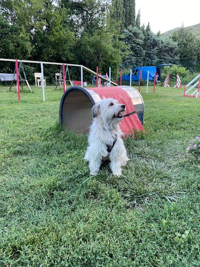 Christine Le Buzullier, Dresseur de Chiens à Robion