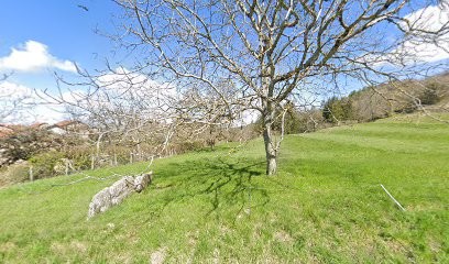 Mon Chien Au Quotiden, Dresseur de Chiens à Leyssard