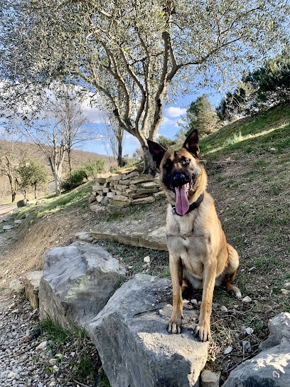Élevage du Chemin des Complices, Eleveur de Chiens à Villeneuve-de-Berg