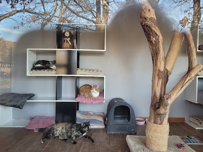 AC-CROCS - Pension - Éducation - Activités canines - vente de croquettes, Pension pour Chiens à Roquefixade