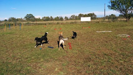 CynOccitan - Lullier Maxime, Dresseur de Chiens à Montpellier