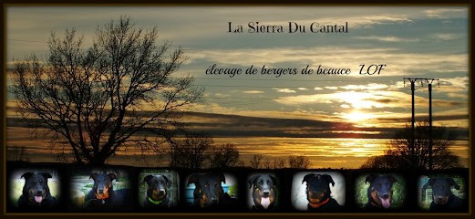 La Sierra Du Cantal, Eleveur de Chiens à Rouffiac