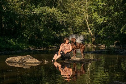 Canisthouars- Educatrice - Comportementaliste- Canin, Dresseur de Chiens à Thouars