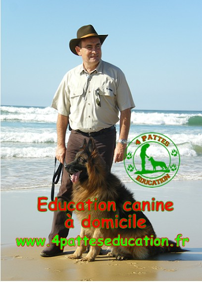 4 pattes éducation, Dresseur de Chiens à Sainte-Eulalie-en-Born